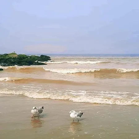 Seagull 302 With Beautiful Sea Views Apartment *